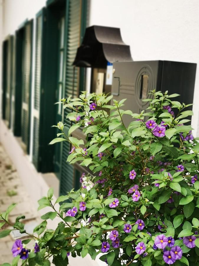 Das Stadthaus Neusiedl am See Ngoại thất bức ảnh